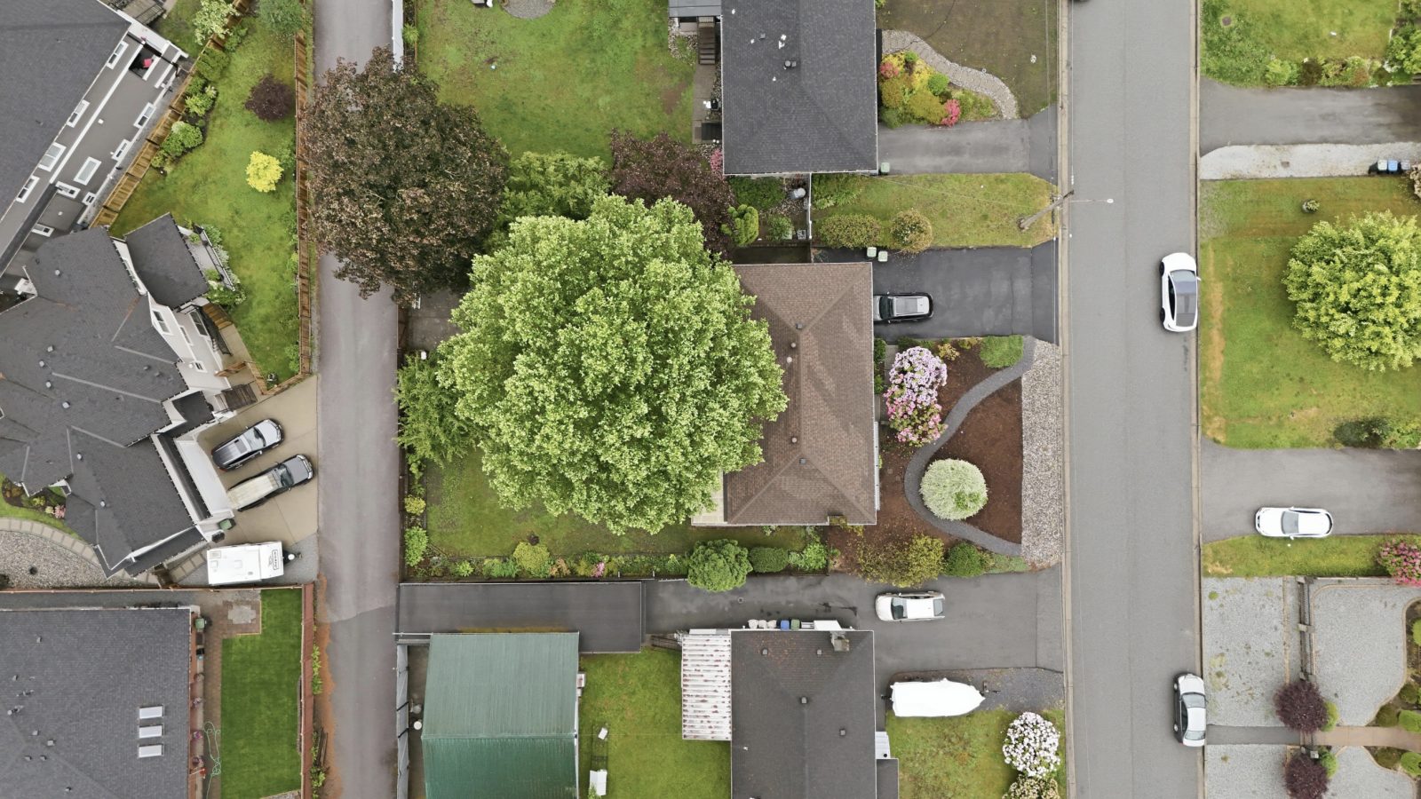 3963 Sefton Street, Port Coquitlam — Outside photo 14