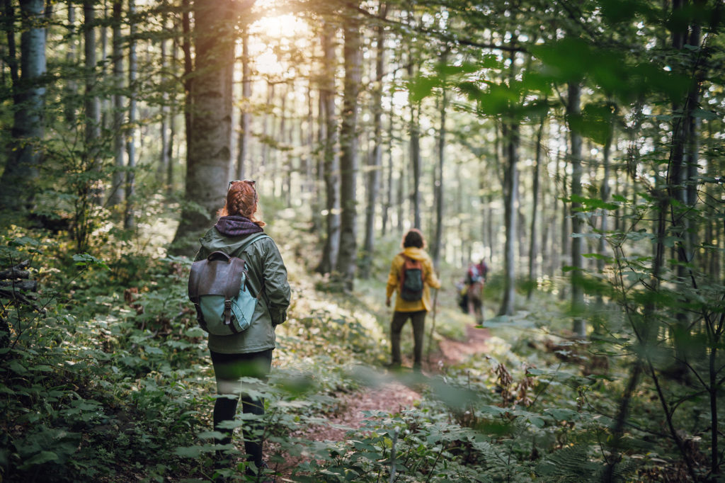 Burke Mountain trails and outdoor lifestyle