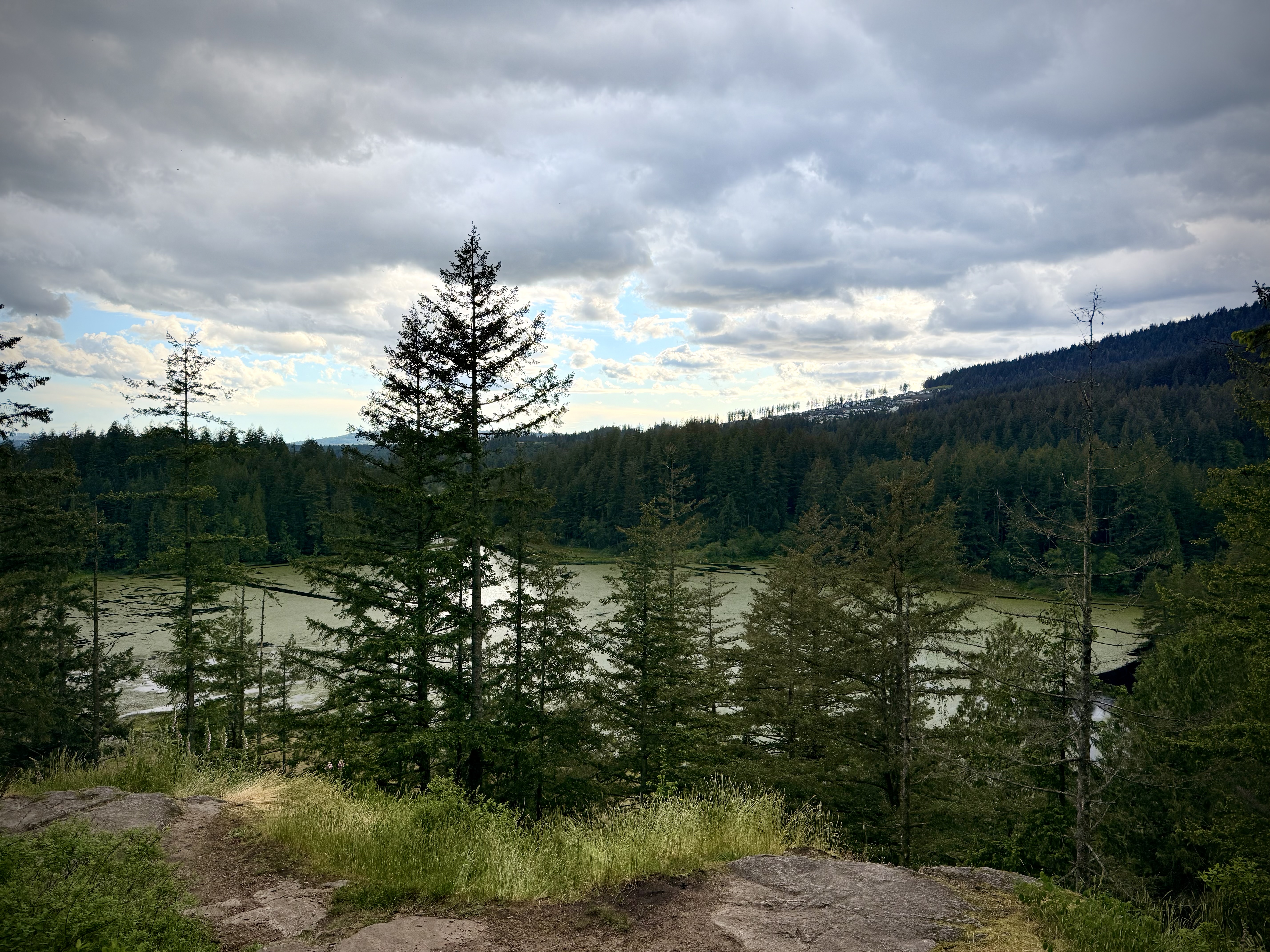 Panoramic view from High Knoll at Minnekhada Regional Park overlooking the marsh and Pitt River
