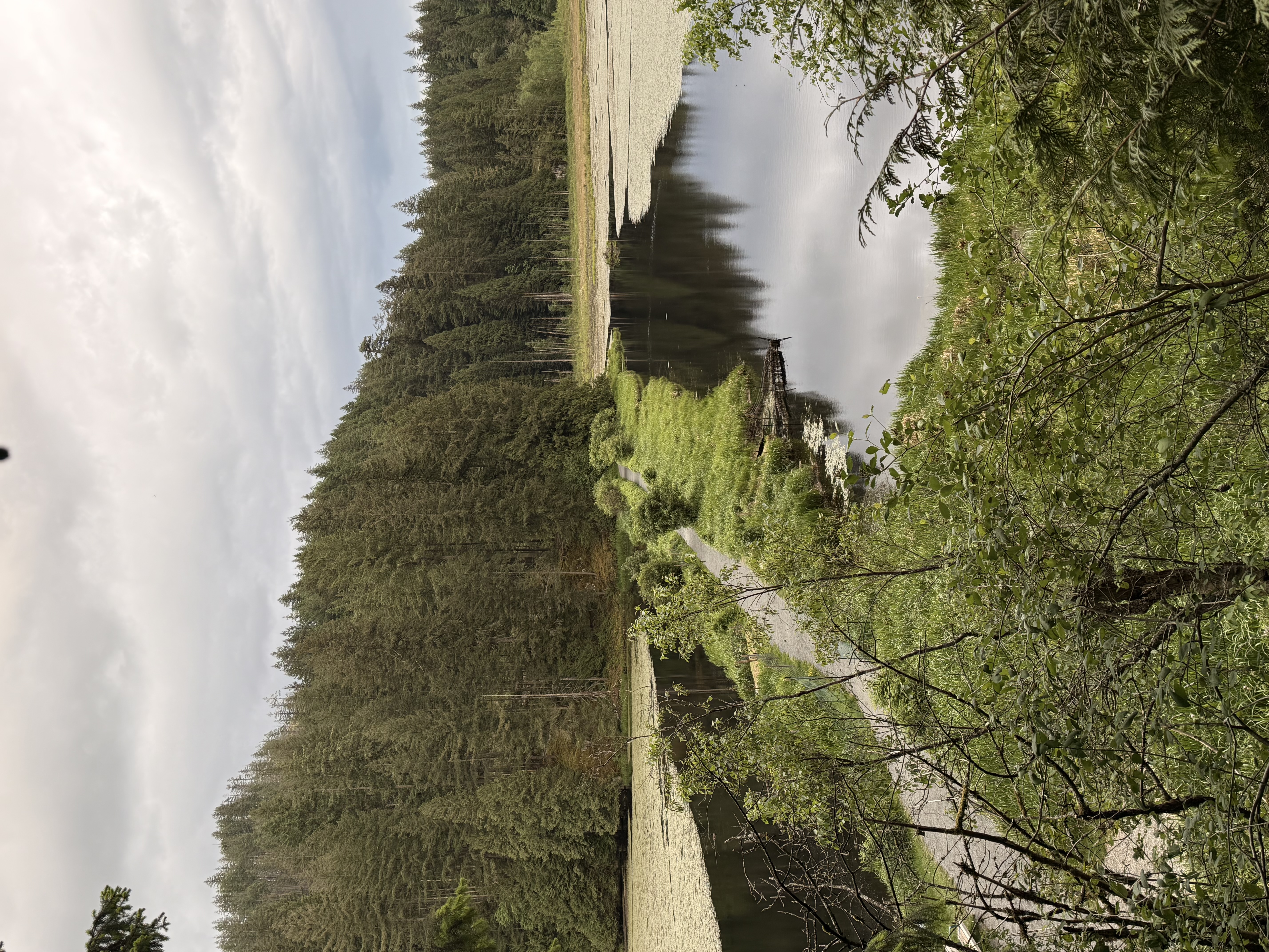 Mid-Marsh dike causeway at Minnekhada Regional Park, Coquitlam BC